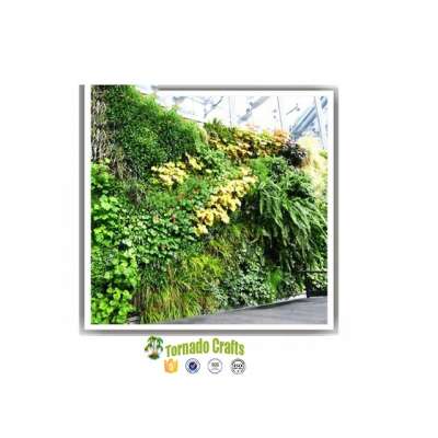 2016 Artificial plants outdoor green plant wall decoration for sale