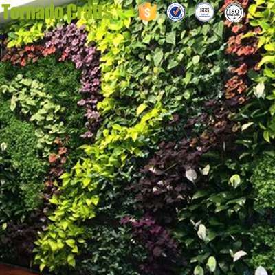 Zhen Xin Qi crafts Indoor customized artificial moss plant green wall