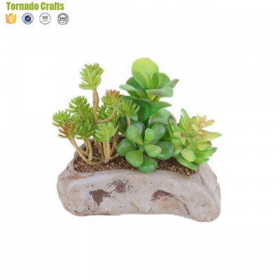 2018 Zhen Xin Qi Crafts Simple European green Plant decoration wholesale artificial succulents green plant