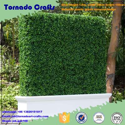 Plastic Garden Fence Outdoor UV Anti And Fireproof Artificial Boxwood Hedge